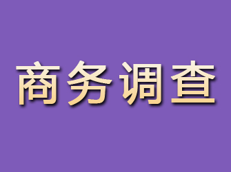 垣曲商务调查